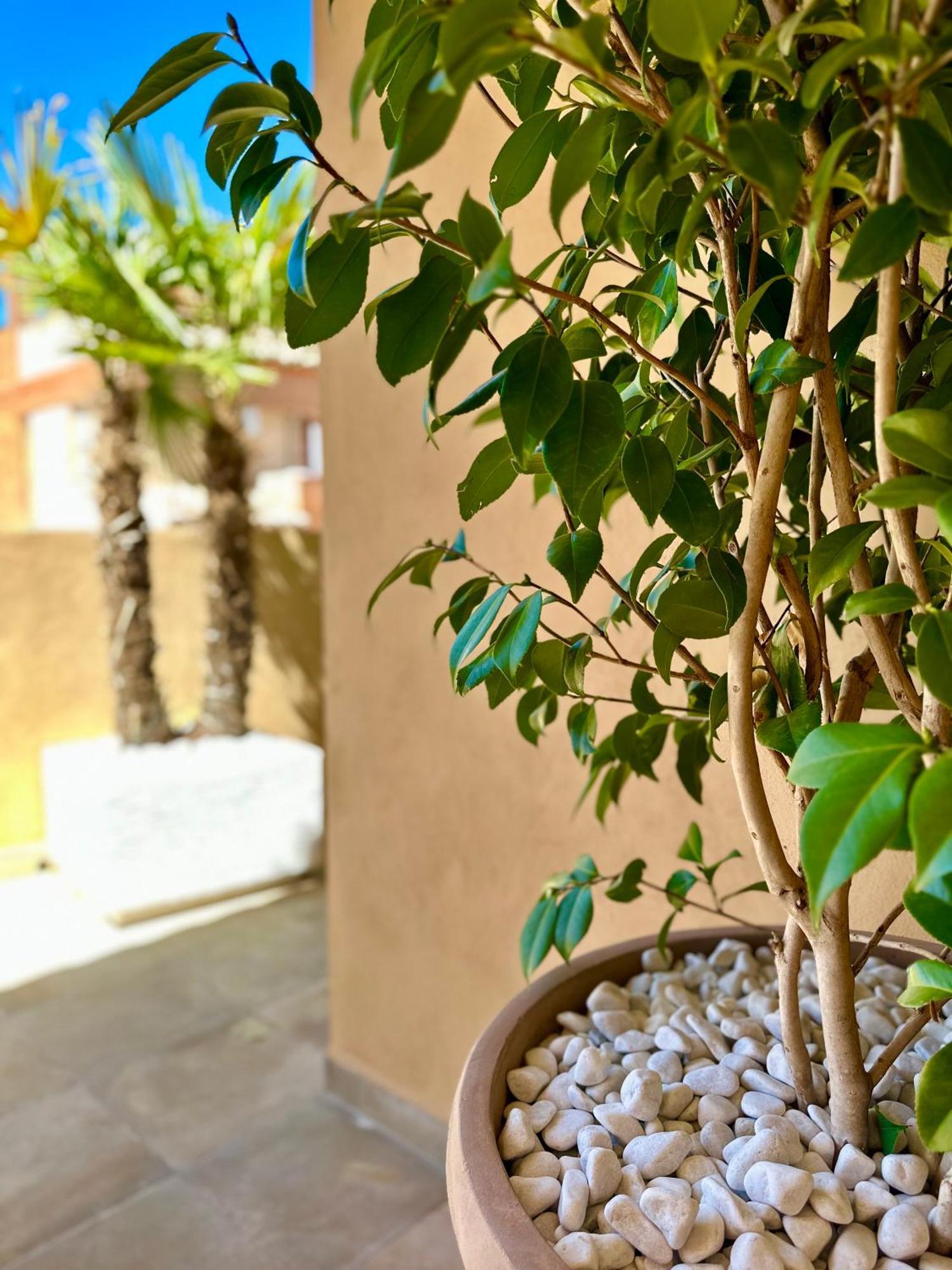 Libelle Apartment Гранада Екстериор снимка